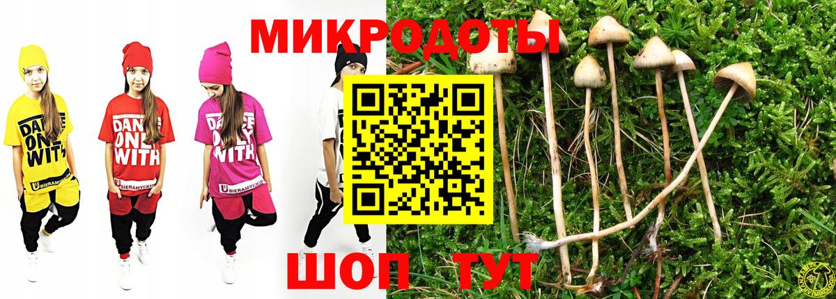 Артём  Псилоцибиновые грибы мицелий  Псилоцибиновые грибы MAGIC MUSHROOMS  Вход с VPN 